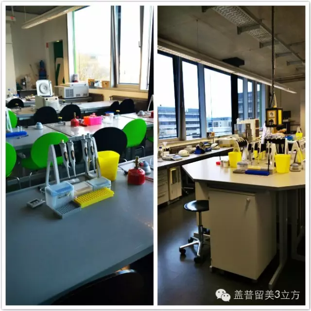 德國哥廷根XLAB科學夏令營（10-12年級，大一、大二）