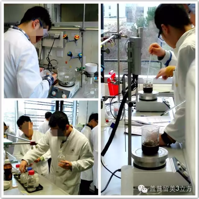 德國哥廷根XLAB科學夏令營（10-12年級，大一、大二）