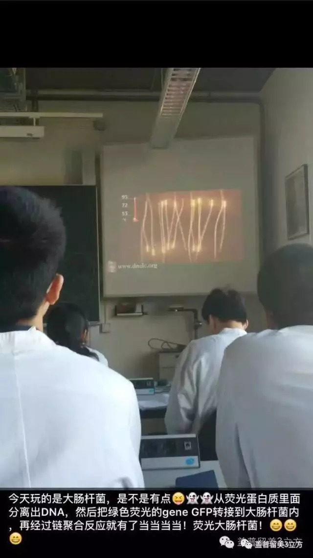 德國哥廷根XLAB科學夏令營（10-12年級，大一、大二）