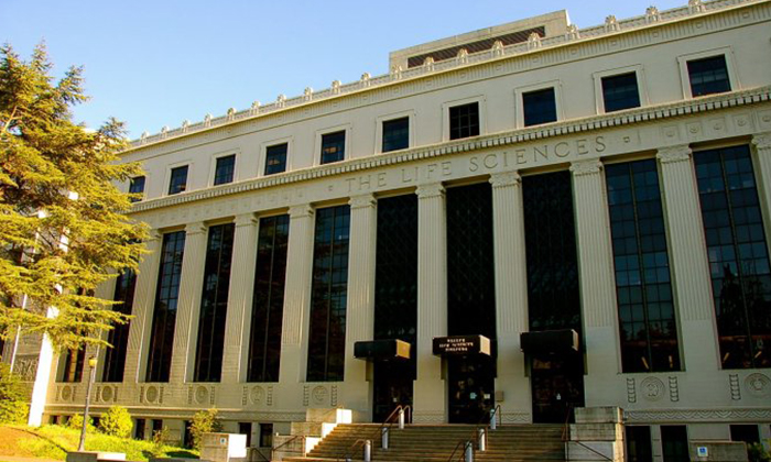 加州大學(xué)伯克利分校