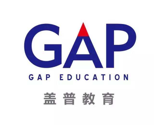 當我談蓋普時我談些什么