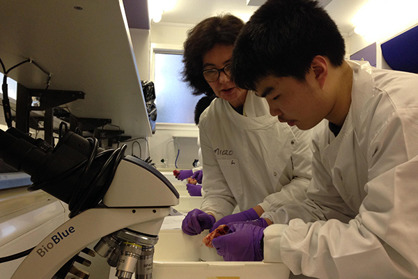 愛丁堡大學生物學冬令營